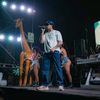 badbunnyterrype