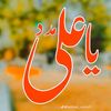 swite973