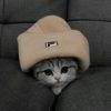 wasishah8498