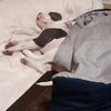 elijahdeyoung7