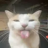 ang_angelo14
