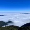 wind._87