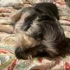 georgieboy7160