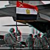 ahmedalkady926