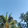 yanzzbocill_022