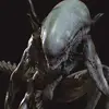 alienxenomorph