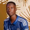 vidovybz