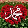 shalaw763