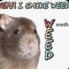 qu1rkly