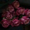 sahramohamed0318