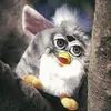 furbynohito