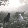 moonnylann