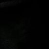 2011____011