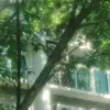 lifelikesummerflowers