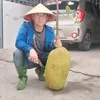 Review cả thế giới