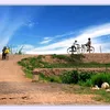 hoangson_82