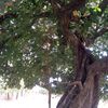 bourama.traor653