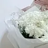 1little_lady0