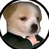 r_kkkkkkkkkkkkkkkkkkk