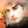 moizomar5