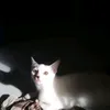 nami_sarimi88
