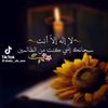 user73511600888108