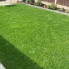 naimmajid02