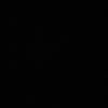 i_bsm21