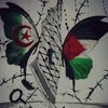 ahmed.mezouari