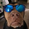 aidenfrazier74