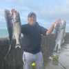 Majed fishing