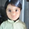 mohammadtariq737