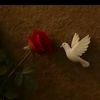 elanur_benim_