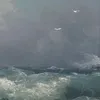 ghazal_alkubaisi