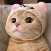 nyan_abc123