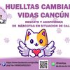 huellitascambiandovidas