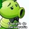 atropellapugs5