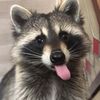 chrisdaboss191