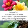 silasjesusteama1919