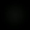 11166.cmj