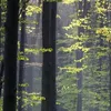 iwillendeverythingmyself