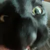 faizerst69