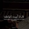 user1971968515708