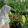 slma.lutpiah