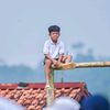 donn2772