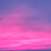 barky_726
