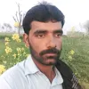 malikallahdiwaya4