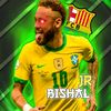 bishal_ff2
