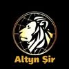 altynshir