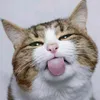 bambina_lol
